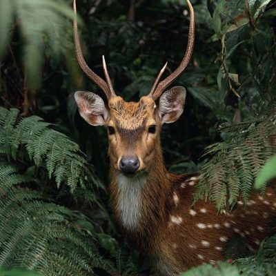 fa1aa2e77435e5c5c6eb3cdf088f2bcf